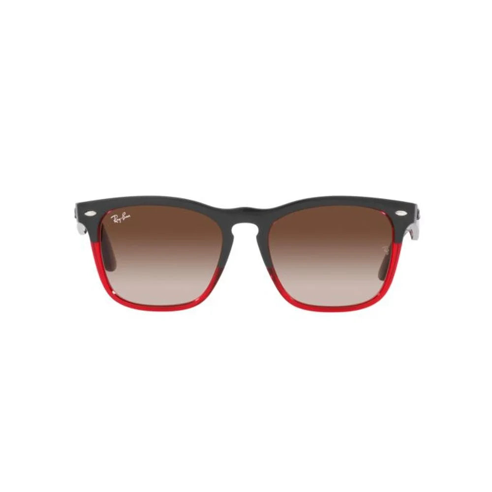 Ray-Ban Multicolor Nylon Sunglasses