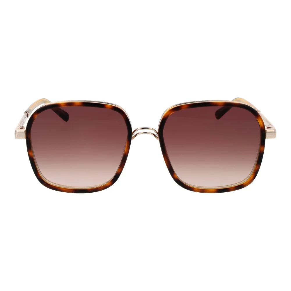 Sandro Brown Acetate Sunglasses